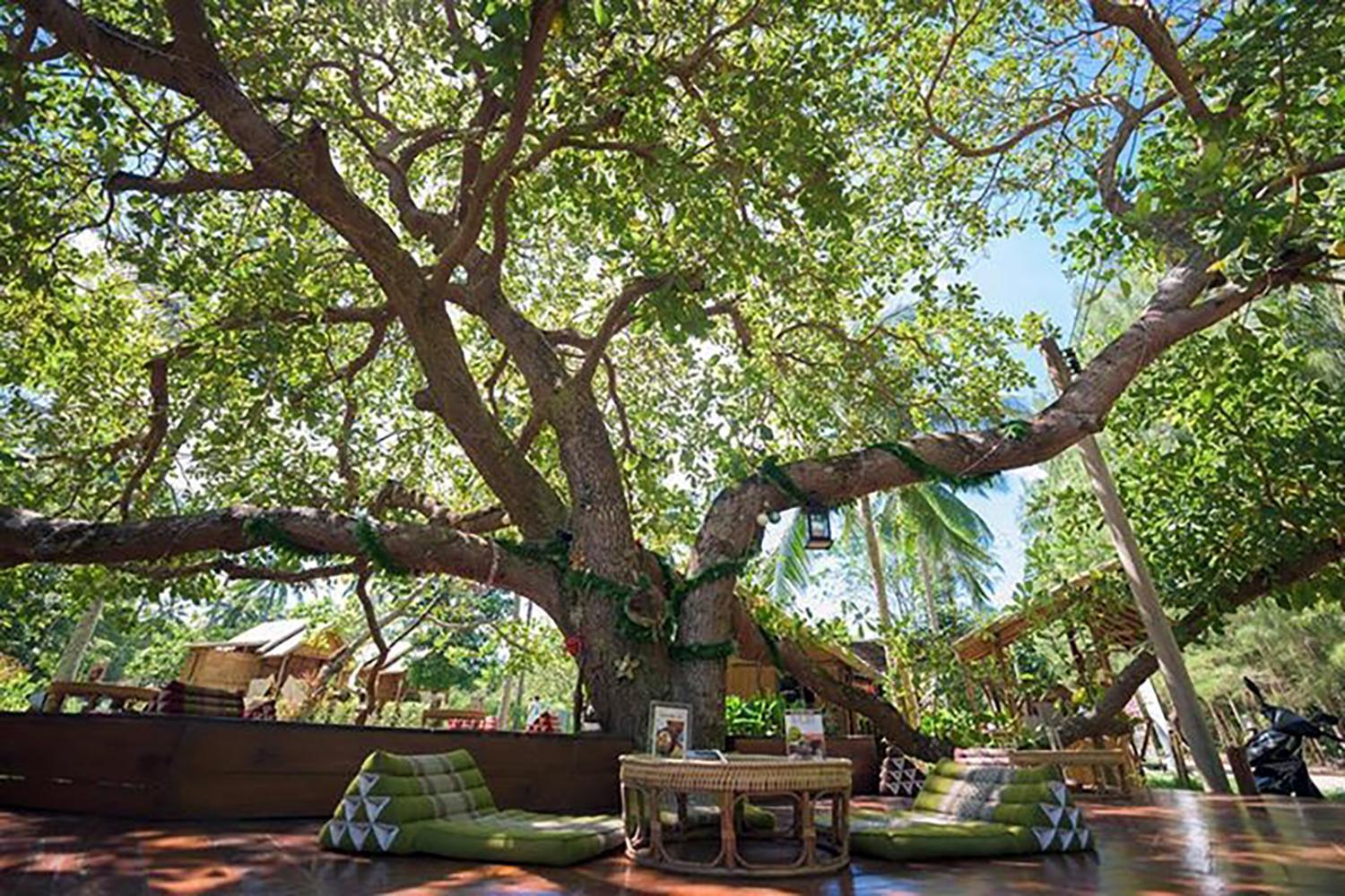 Coffee And Resort Koh Phayam Exterior foto